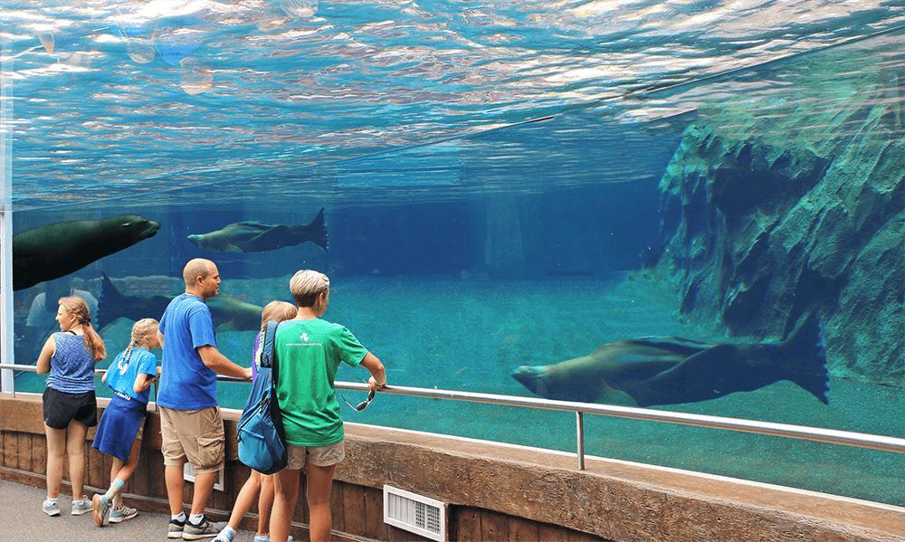 Columbus Zoo Sea Lion Exhibit